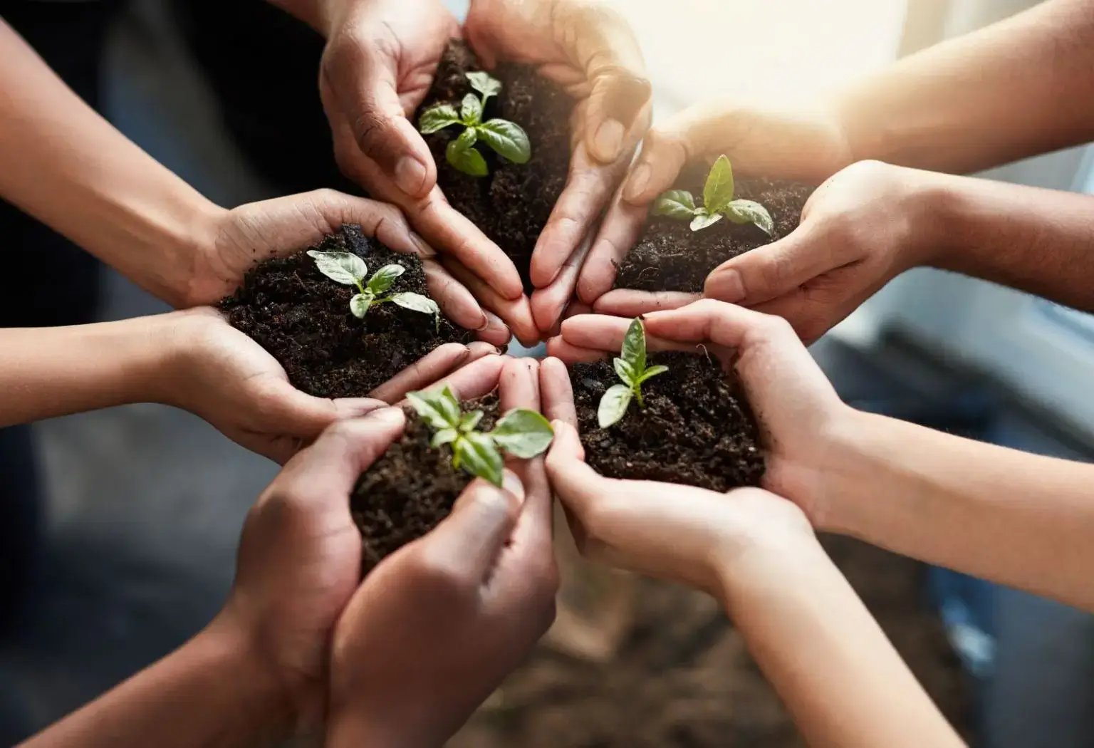 Өзбекстанда 2026 жылы экологиялық жобаларға 1,9 трлн сум бөлінеді