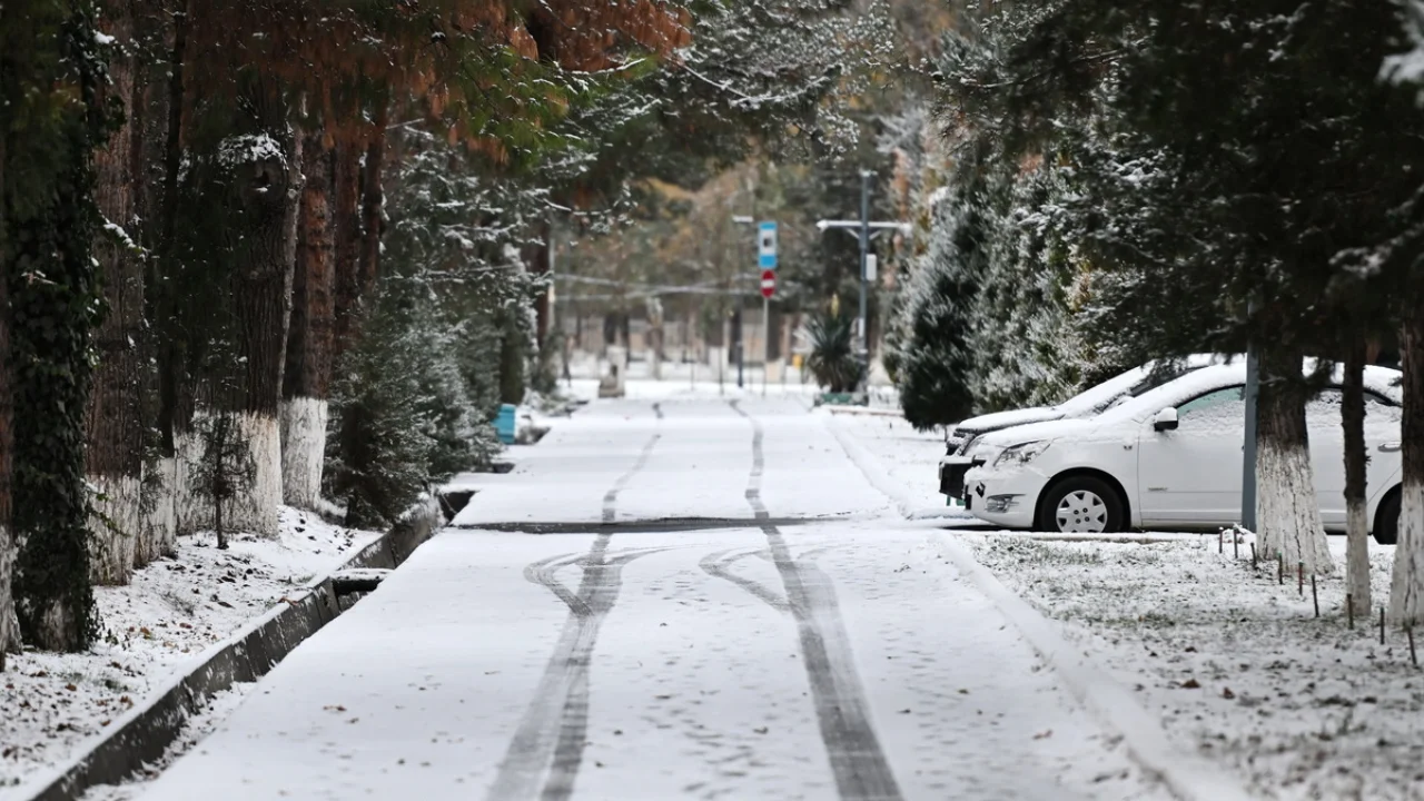 Дам олиш кунлари бизни қандай об-ҳаво кутмоқда?