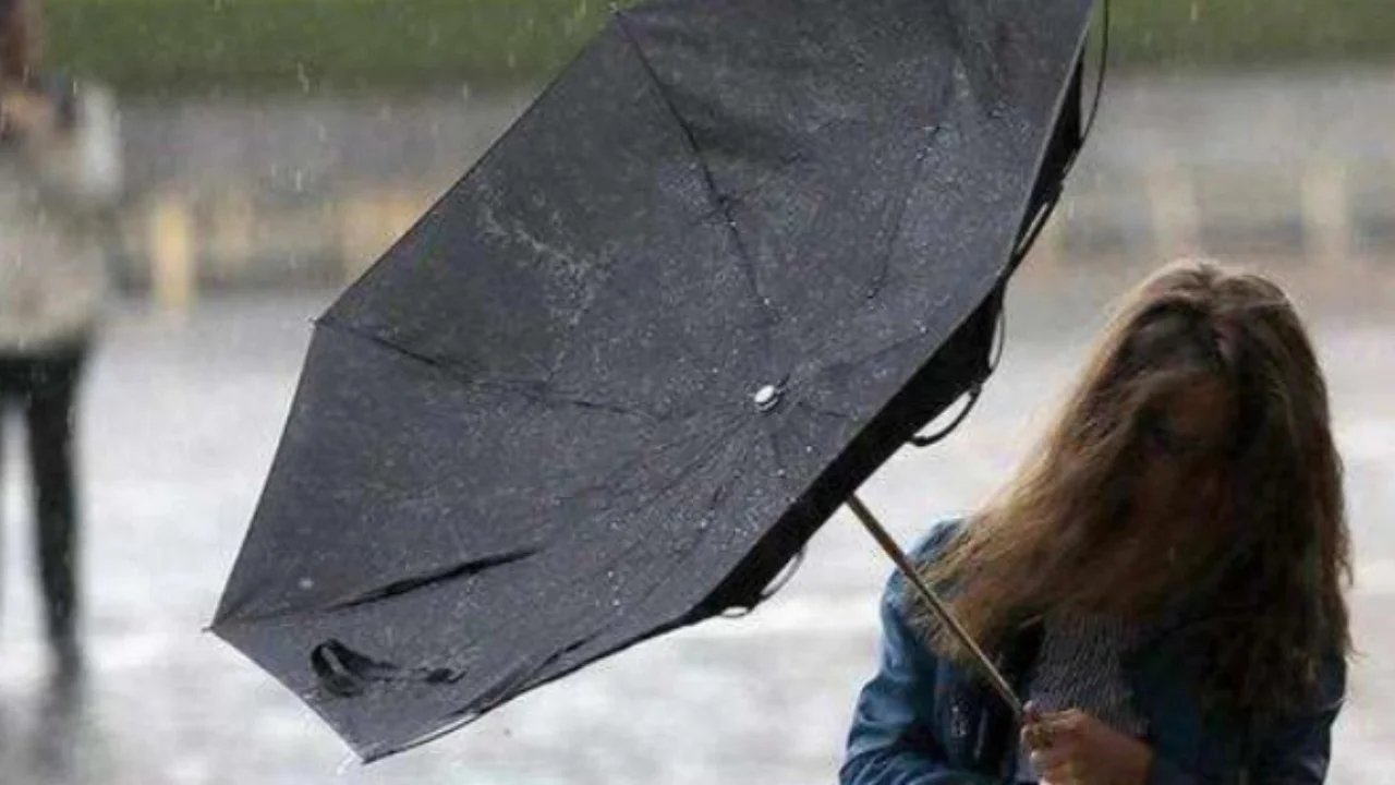 Эртага айрим ҳудудларда ёмғир, айримларда кучли шамол кутилмоқда