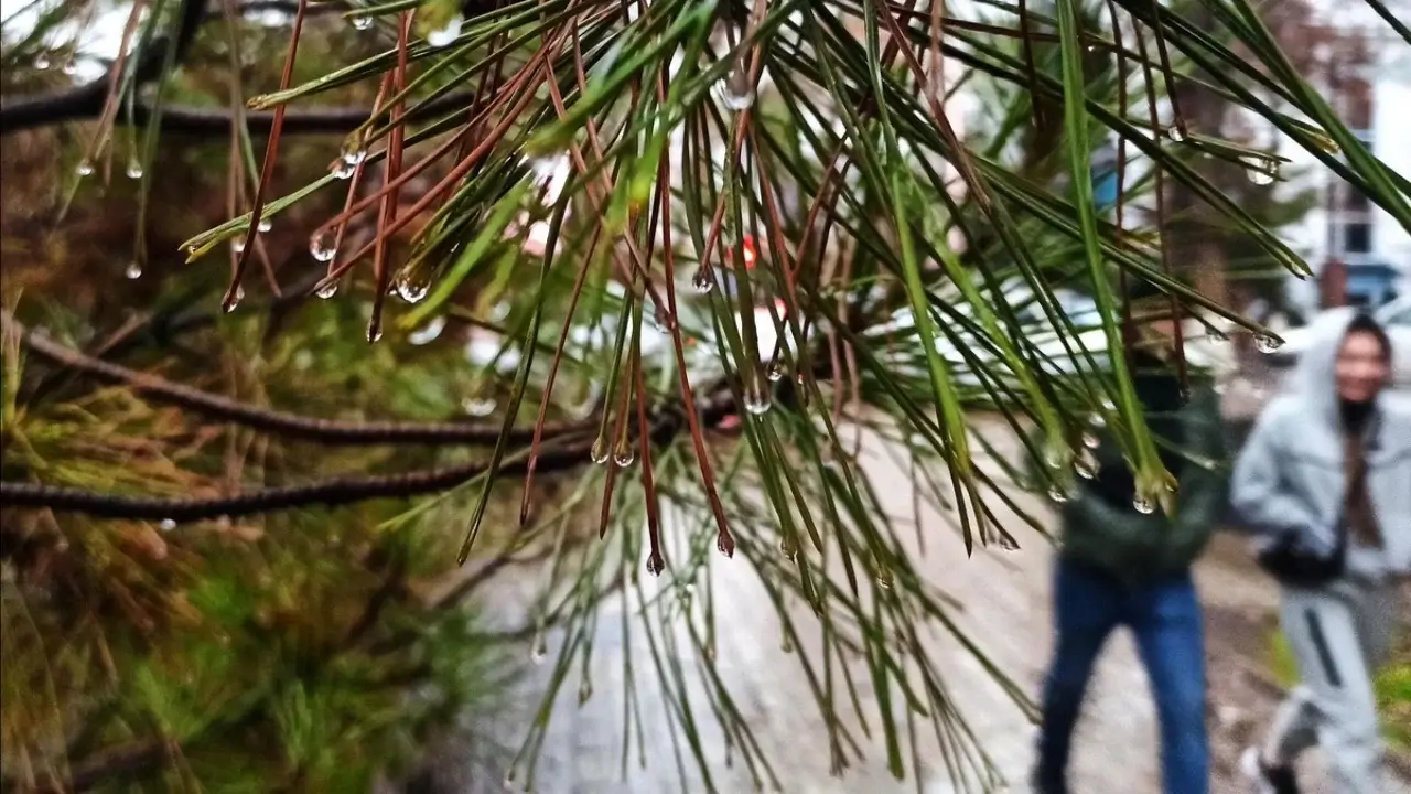 Temperatures will rise in Uzbekistan on December 25