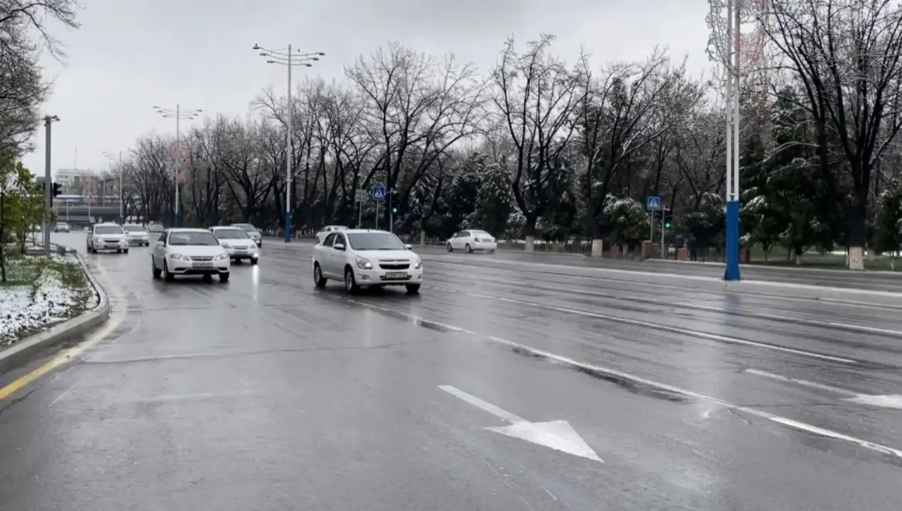 Декабр ойида Ўзбекистонда ҳарорат ва ёғингарчилик ўзгариши