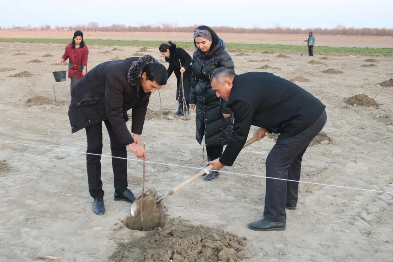 Кам таъминланган оилаларга дарахт экиш учун пул тўланади