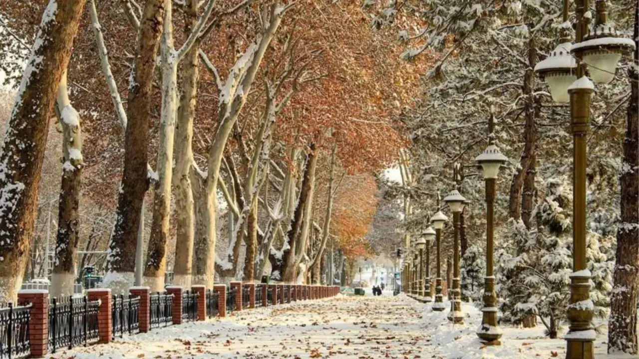 Bugun ob-havo qanday bo‘ladi?