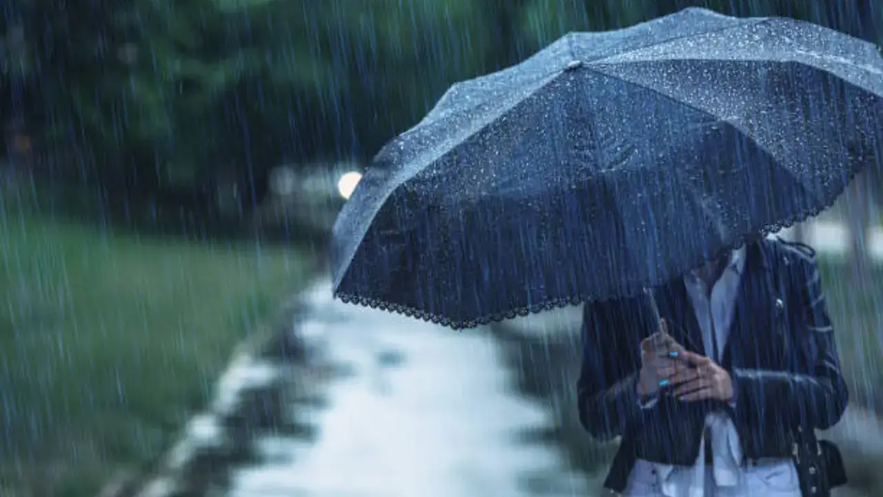 Hafta boshida O‘zbekistonning ayrim hududlarida yomg‘ir yog‘adi