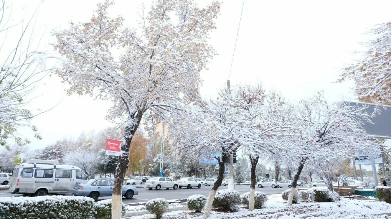 23 декабря: в Узбекистане прохладная и местами снежная погода...
