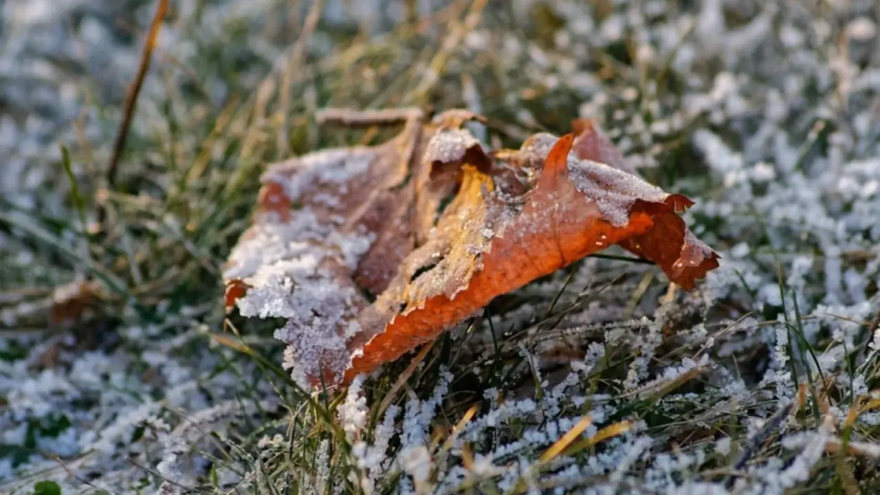 3 декабрда Ўзбекистонда об-ҳаво: Ҳарорат ва шамол ҳақида маълумот