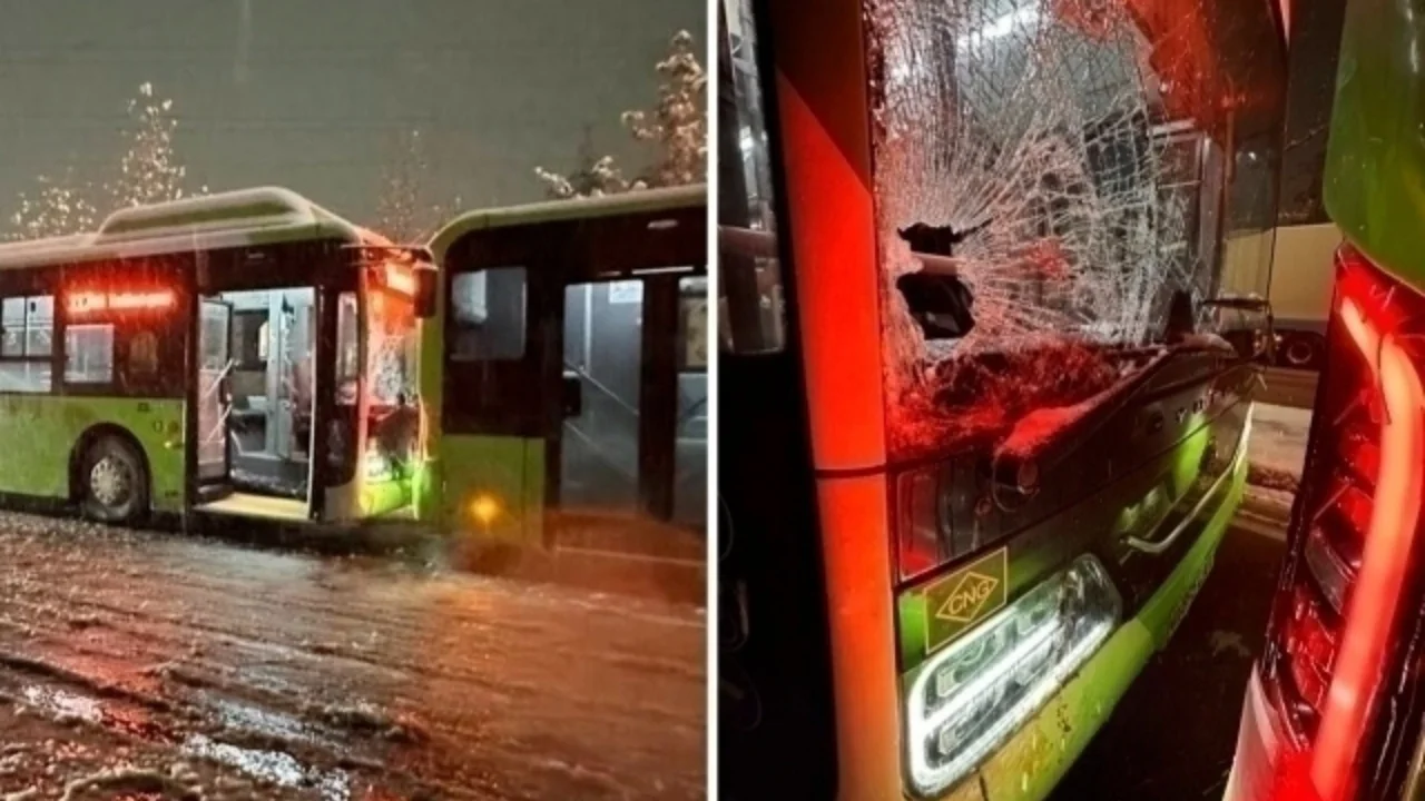 Driver crushed to death between two buses in Sergeli