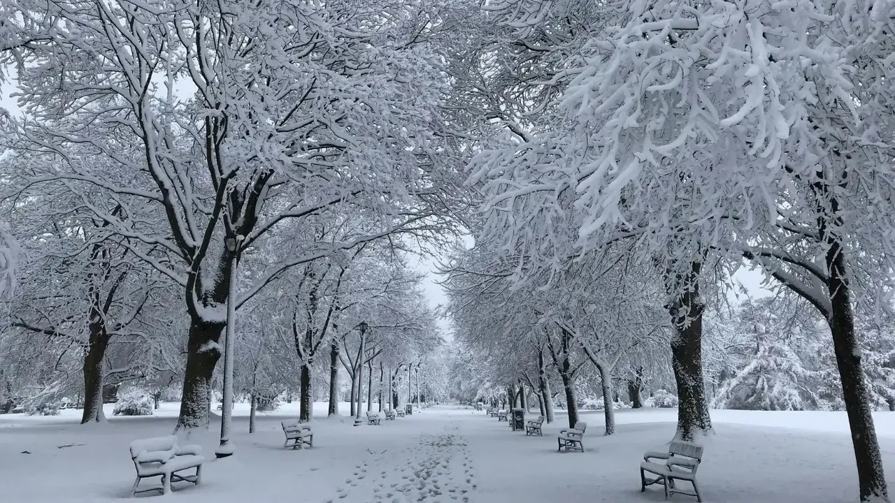 Декабр ойида қор ёғиши кутилмоқда! Қачон ва қаерда?