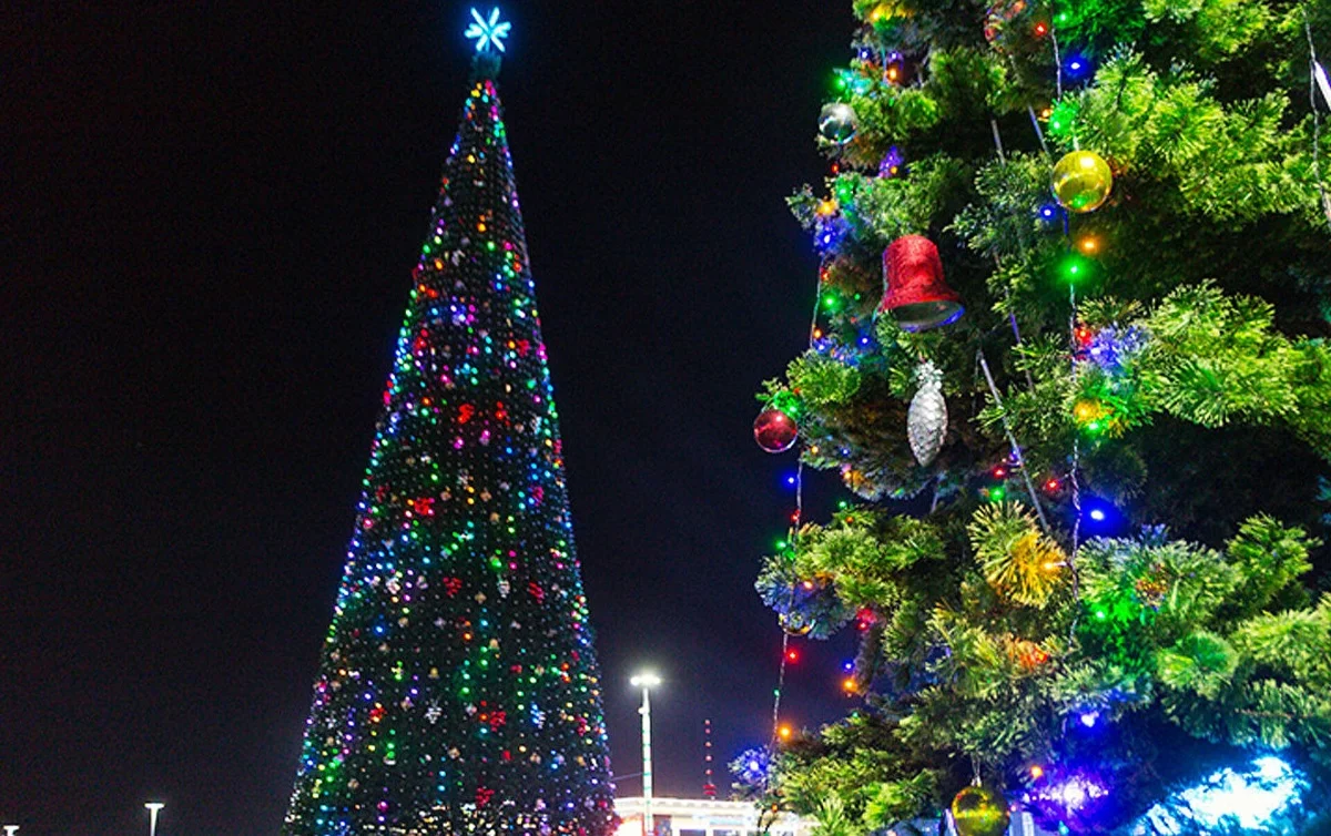 When will Tashkent's main New Year tree be installed?