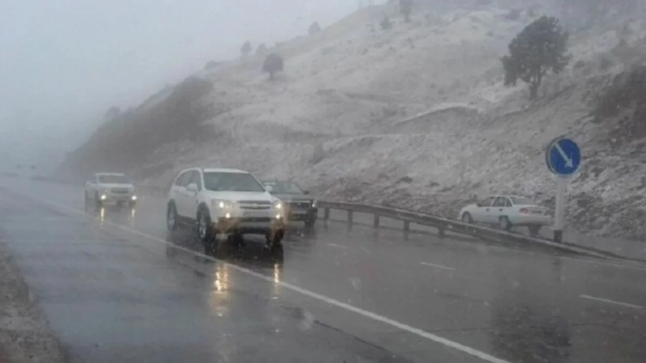 “Қамчиқ” довонида 9 декабрь тонгидаги об-ҳаво (видео)