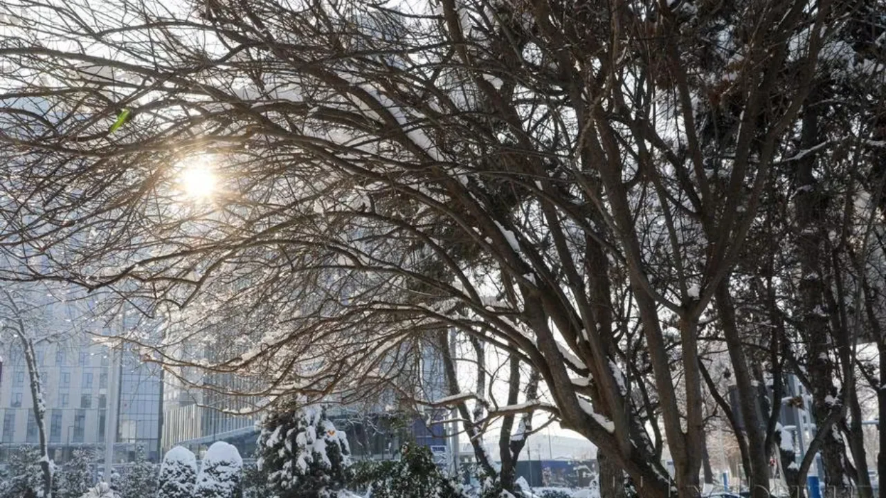 Сегодня в ряде регионов ожидаются дождь и снег