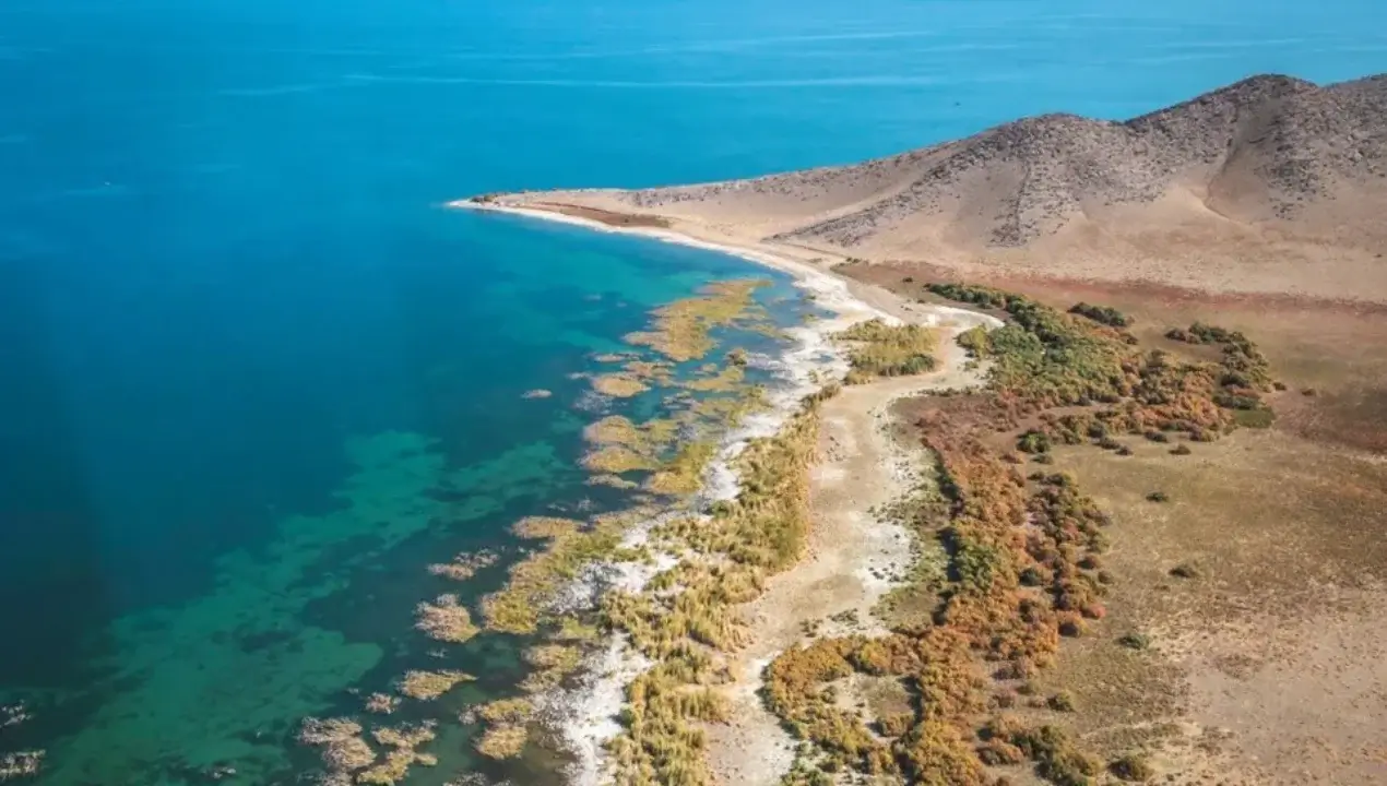 Aeroport, temir yo‘l va bog‘lar: Jizzax viloyatining rivojlanish rejasi!