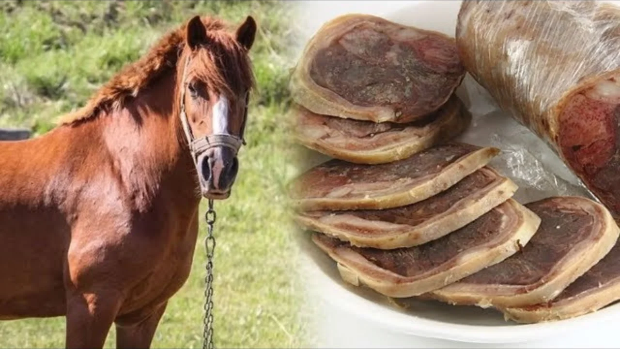 Қазақстан Жапонияға жылқы етін экспорттайды