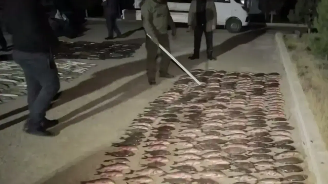 “Тўдакўл”даги ноқонуний ов: табиатга 680 миллион сўмлик зарар етказилди