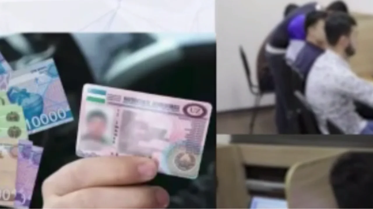 More than 1,200 fake driver’s licenses identified