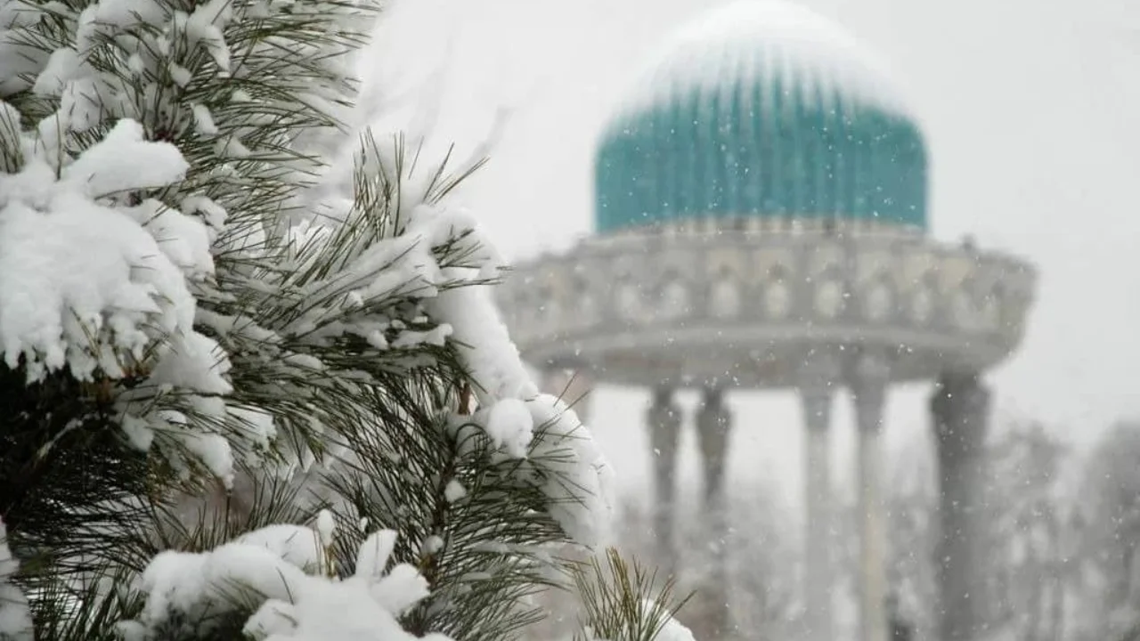 Ertaga mamlakat bo‘ylab sovuq va nam havo bo‘lishi kutilmoqda