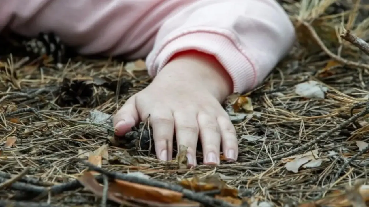 Terrible crime: Person who raped and killed a minor sentenced to life imprisonment