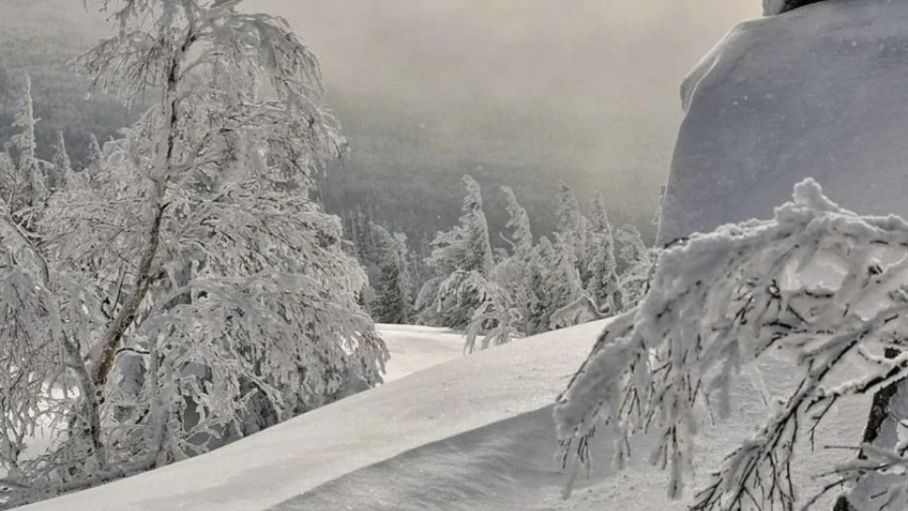 Uzhydromet, 10-12 Aralık için acil durum uyarısı yayınladı