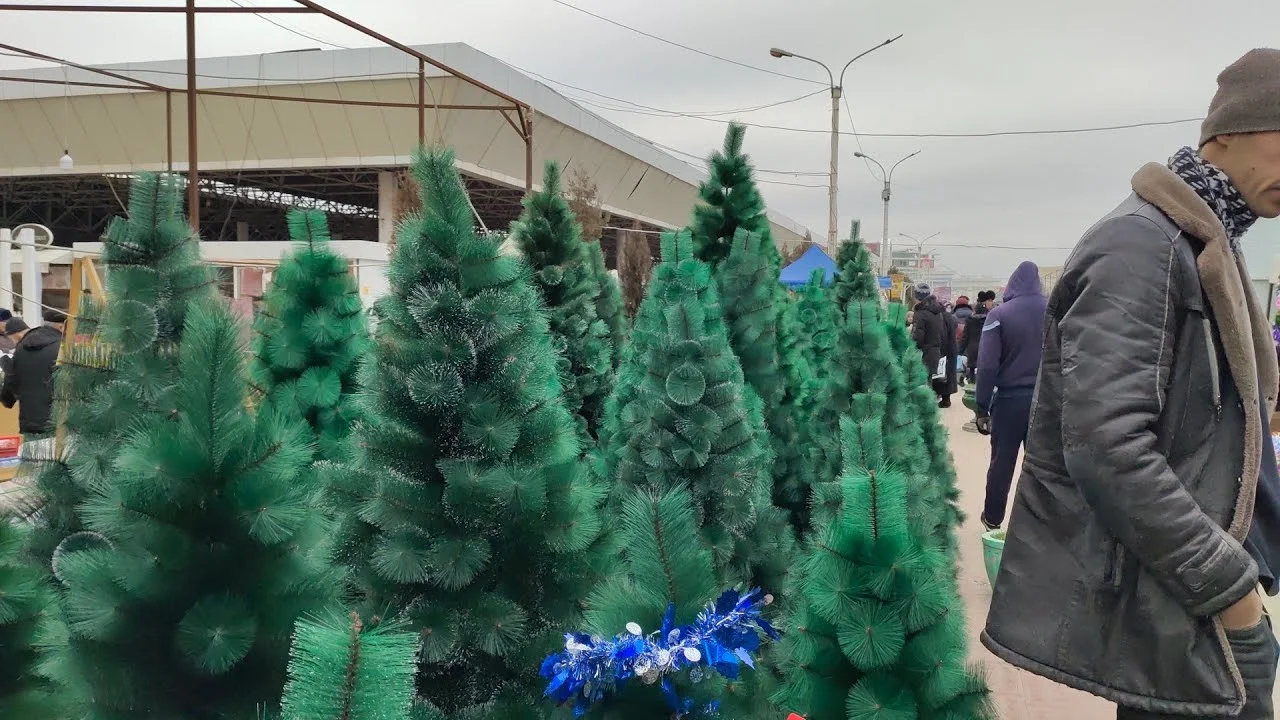 Taşkent'te yılbaşı ağacı fiyatları: Yeni yıl masraflarını hesaplıyoruz