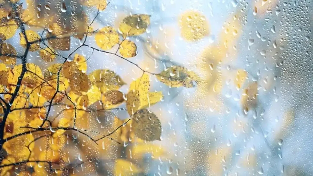 5 Aralık'ta Özbekistan'da yağmur bekleniyor