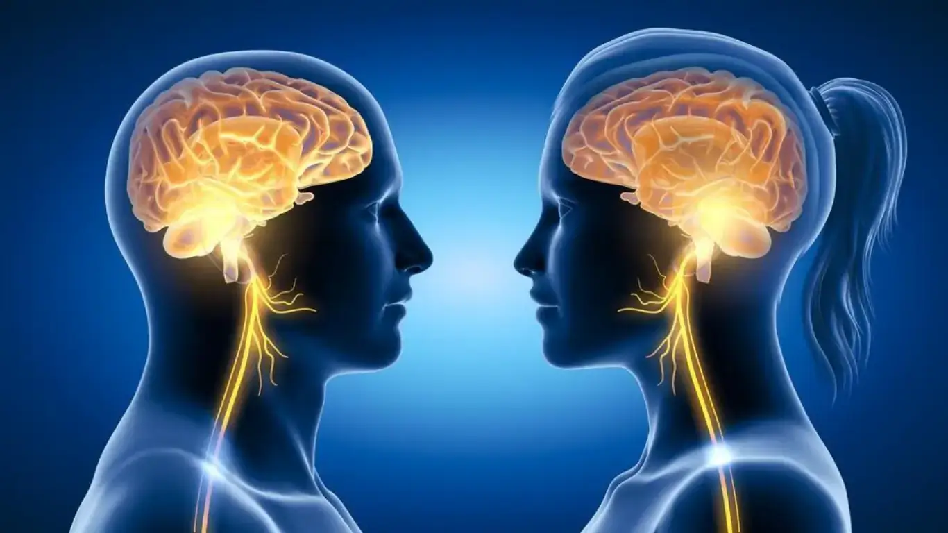 It has been proven that men's brains age faster than women's