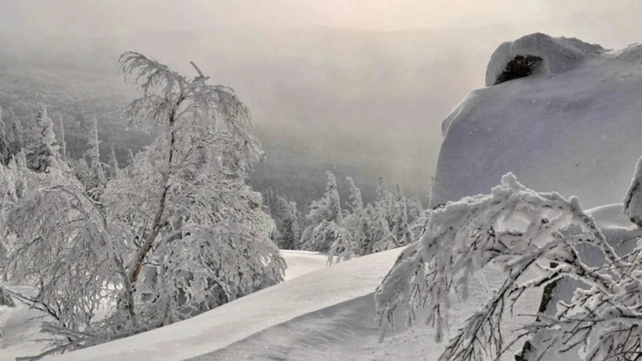 8–10 декабр учун Ўзгидромет шошилинч огоҳлантириш билан чиқди