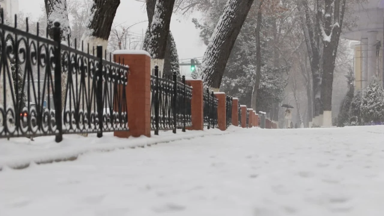 Uzhydromet announced the weather forecast for December 23