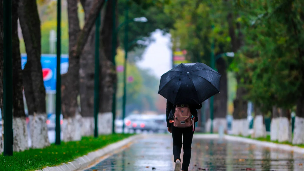 Определено, в каких регионах завтра ожидаются снег и дождь