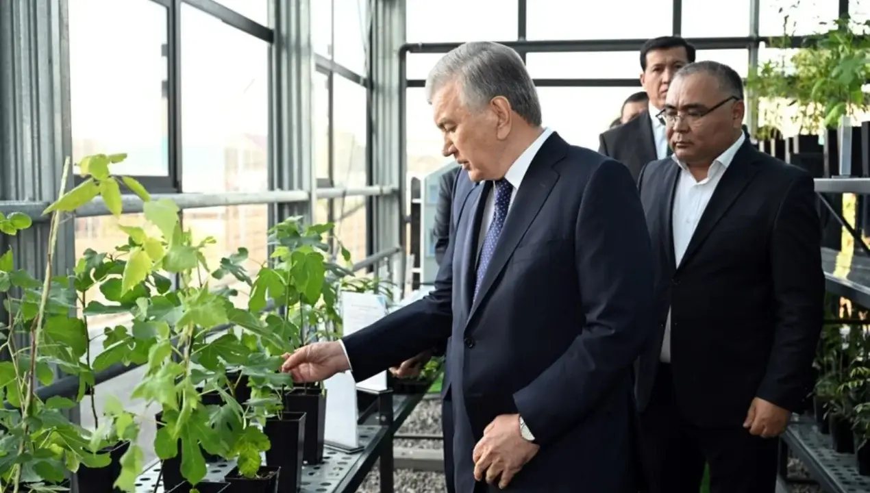 Президент Жиззахда қишлоқ хўжалигидаги ислоҳотлар билан танишди