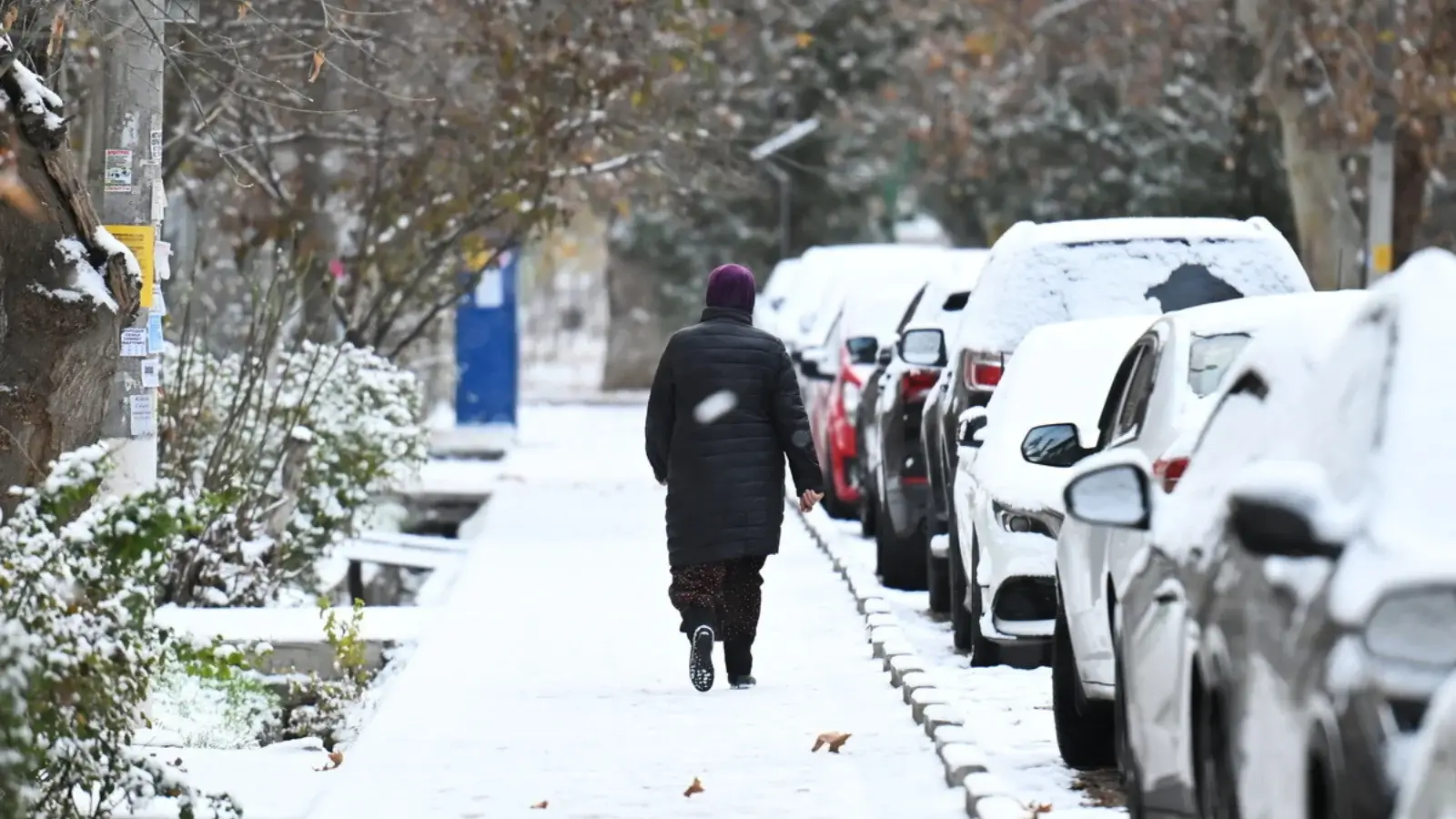 25 dekabr kuni: ayrim hududlarda tuman, harorat ko‘tariladi