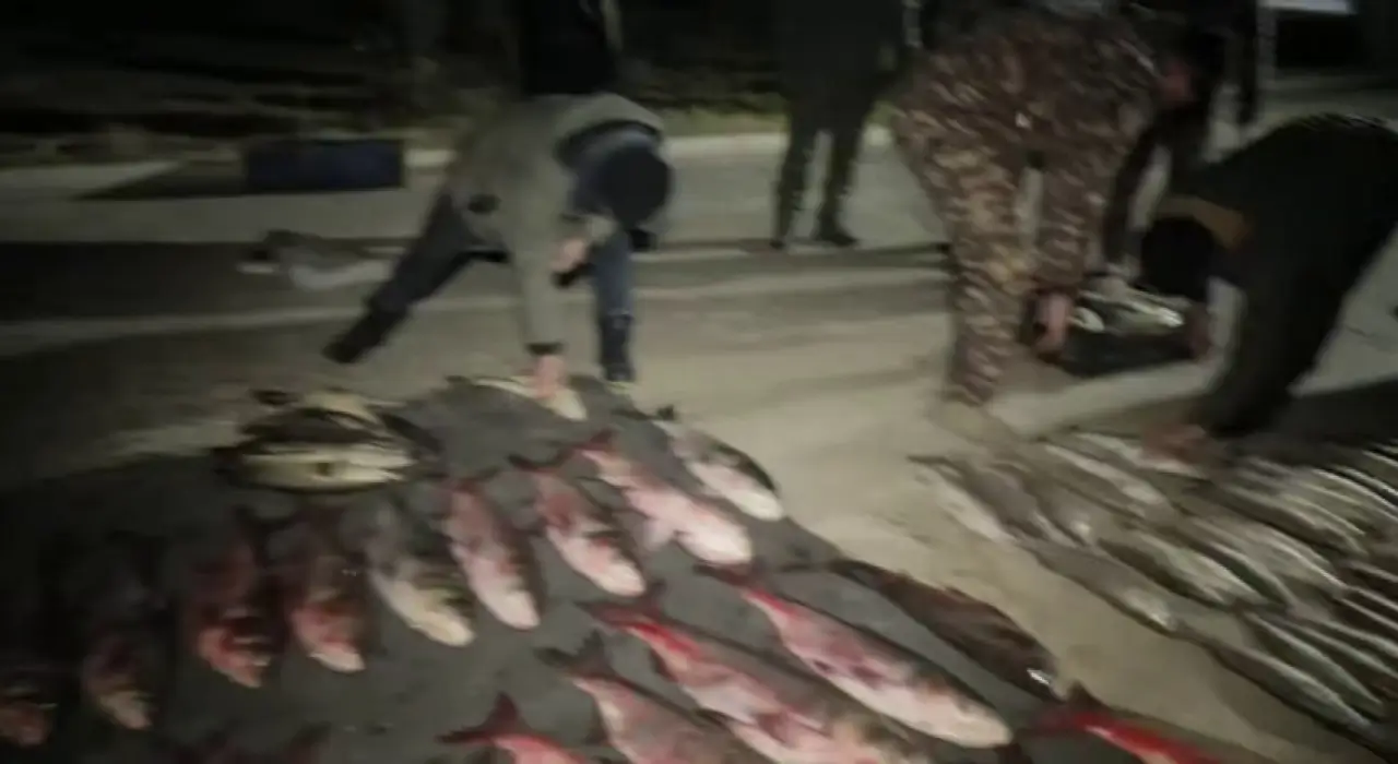 Navoiyda 416 kilogramm noqonuniy tutilgan baliq musodara qilindi