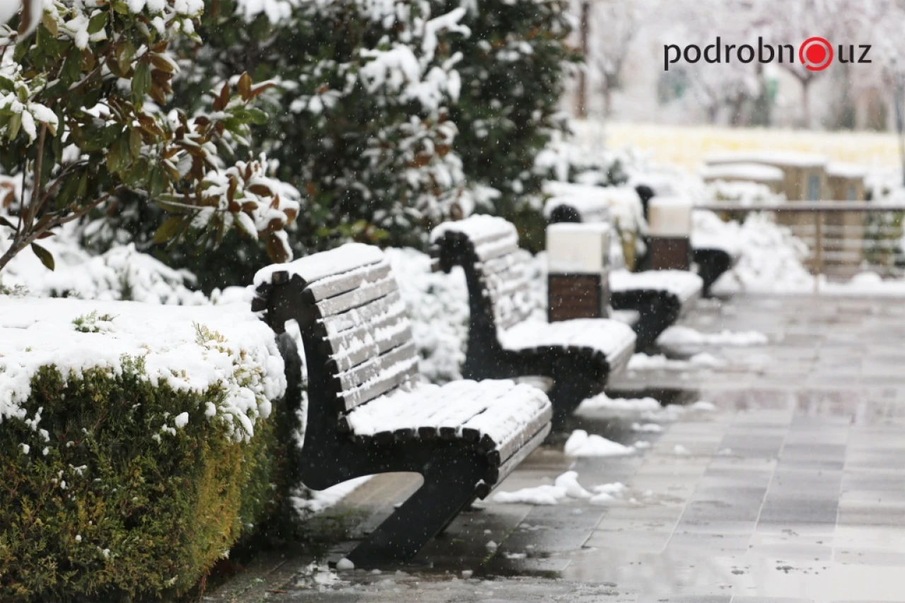 Yanvar o'rtalarida qanchalik sovuq bo'ladi Sinoptiklar oy davomidagi ob-havo prognozini e'lon qildi