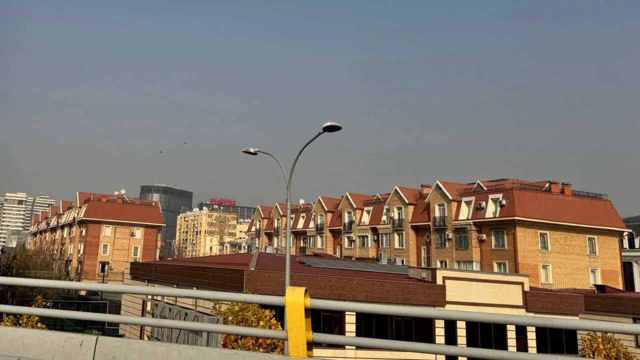 Qish O‘zbekistonga iliq ob-havo bilan keldi