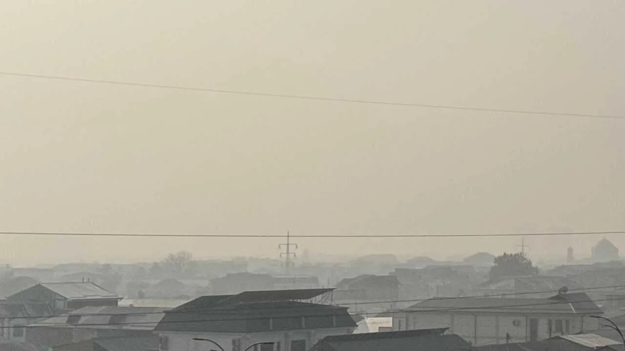 Ўзбекистонда туман ва қуруқ об-ҳаво кутилмоқда