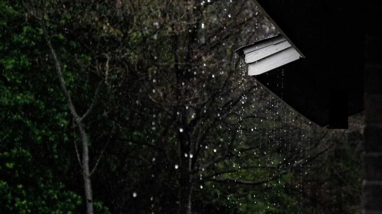 Ўзбекистонда ёмғир ва қор кутилмоқда