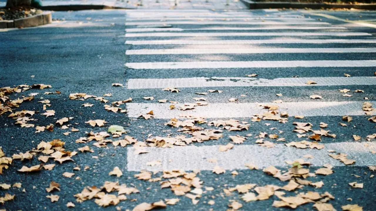 Андижонда Трекер ҳайдовчиси болани уриб юбoрди