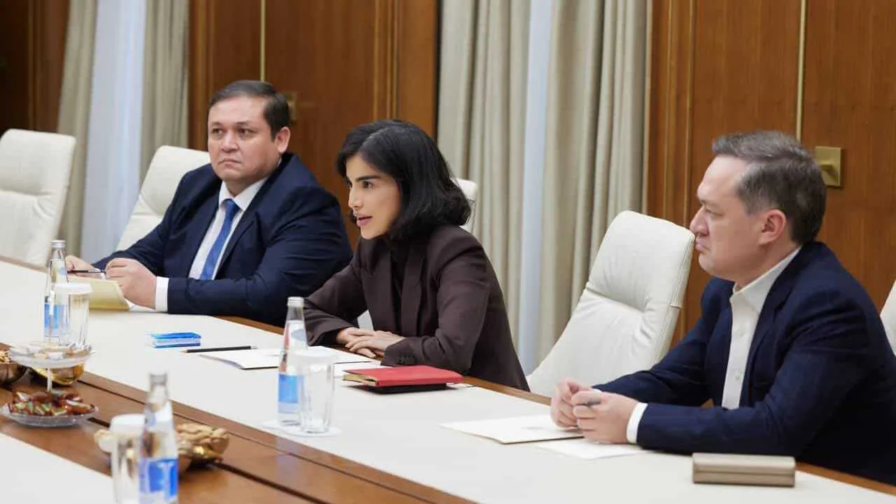 В Узбекистане планируется строительство парка Disneyland