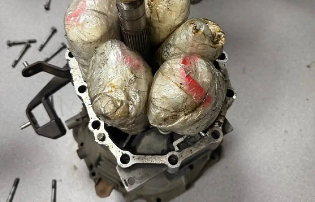 Rusya'dan mefedron getirme girişimi engellendi