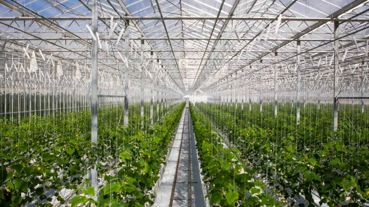 Koʻmir qozonlari Toshkentdan koʻchiriladi