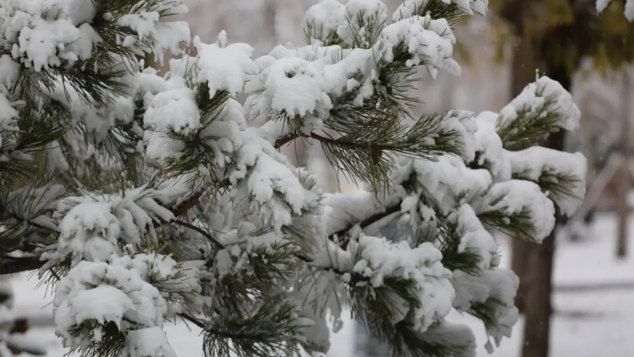 Узгидромет выпустил предупреждение на 31 января и 1-3 февраля