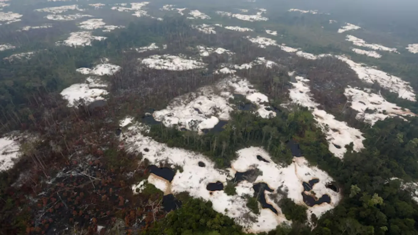 190 минг гектар ўрмон ерида ноқонуний кончилик аниқланди