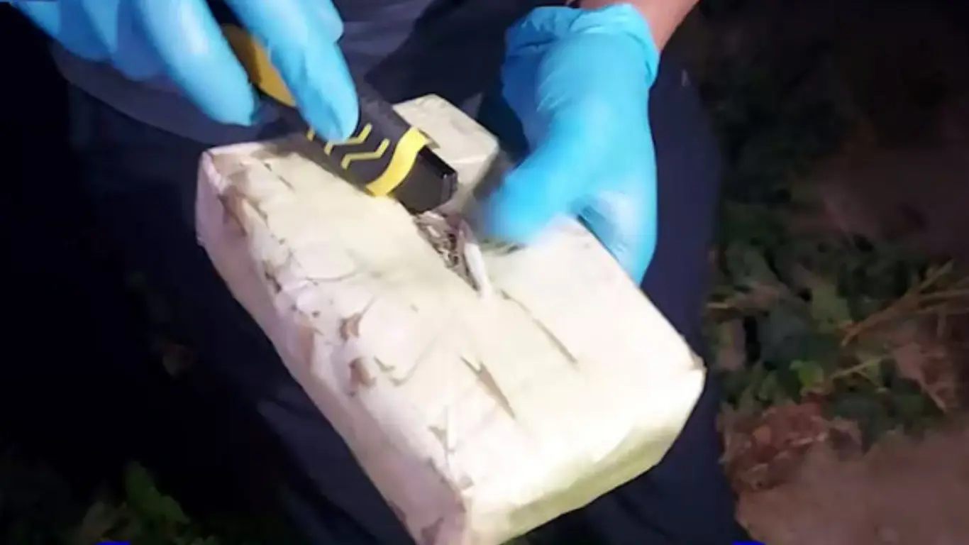 Namanganda qariyb 2 kilogramm gashish sotmoqchi bo‘lgan ayol ushlandi