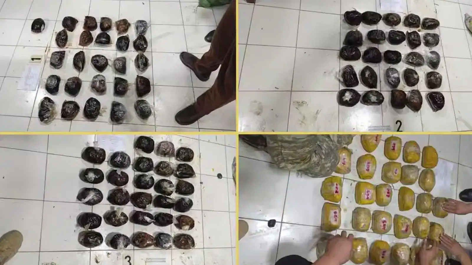 Фарғонада катта миқдордаги контрабанда гиёҳвандлик тармоғи фош этилди