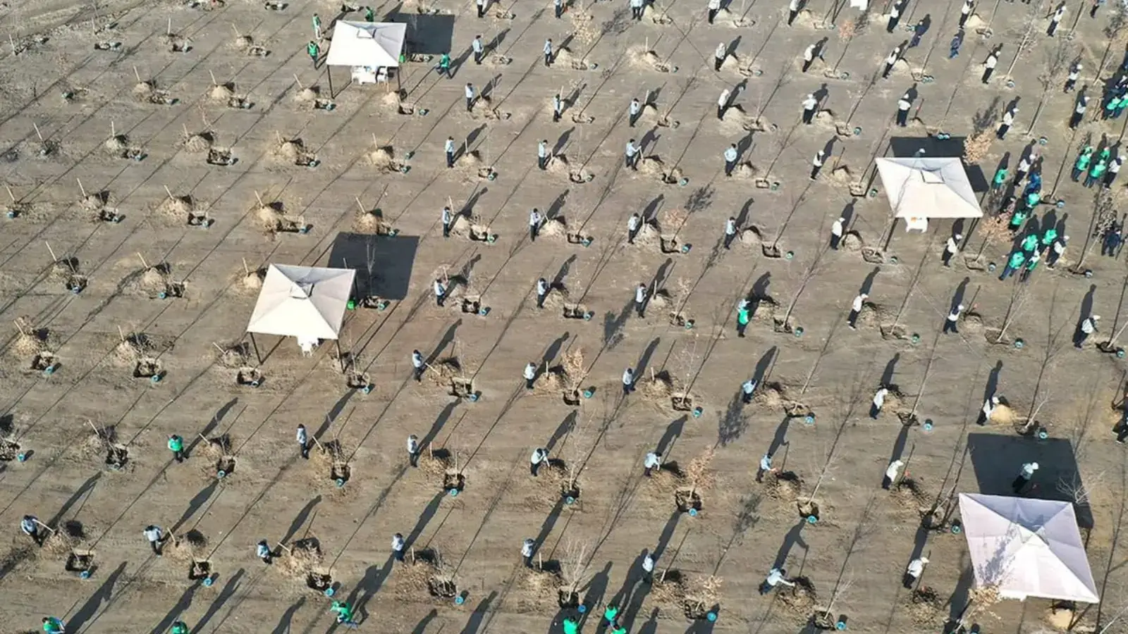 “Yashil makon” loyihasi: O‘zbekistonda ekologiya va yashil muhit barpo etish