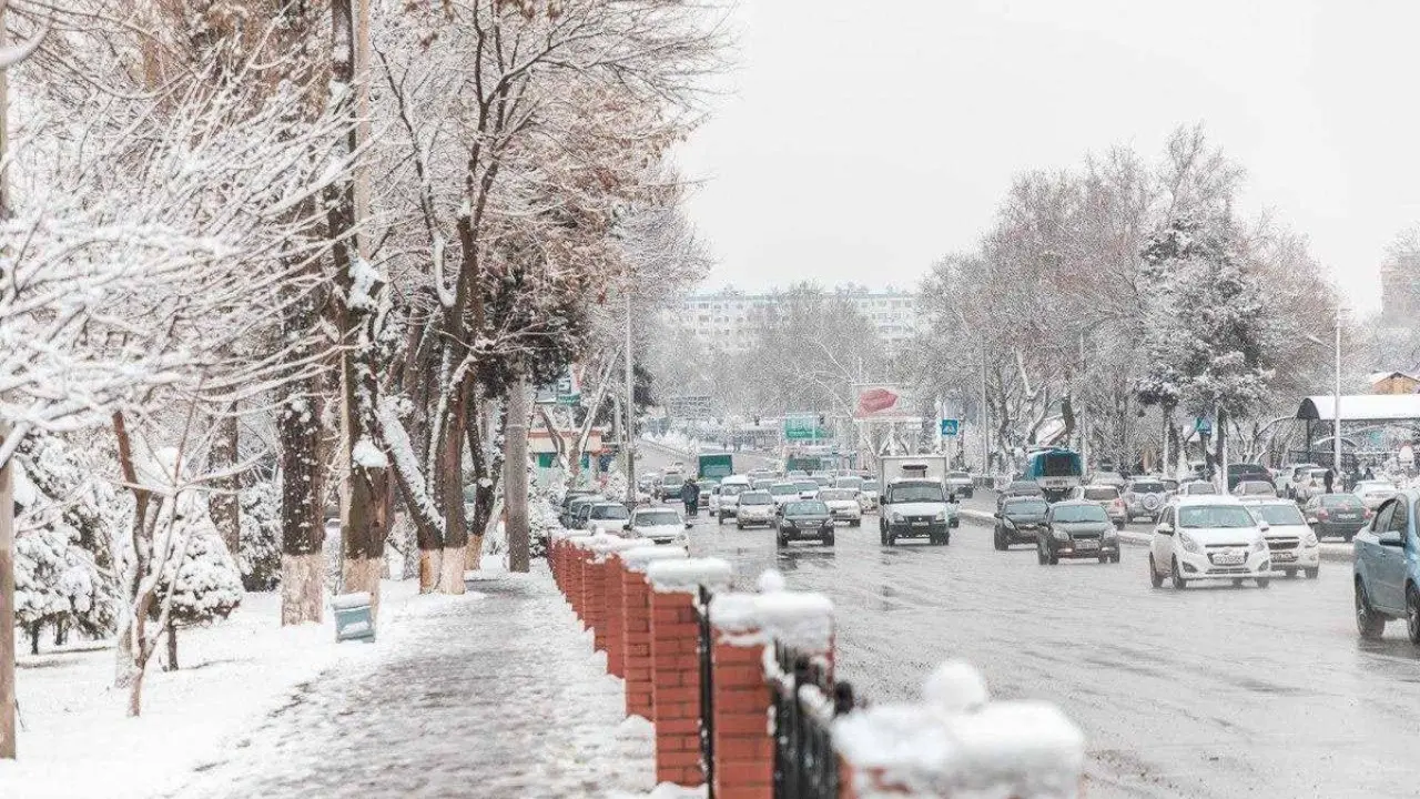 Демалыс күндері күн ашылады деп күтілуде