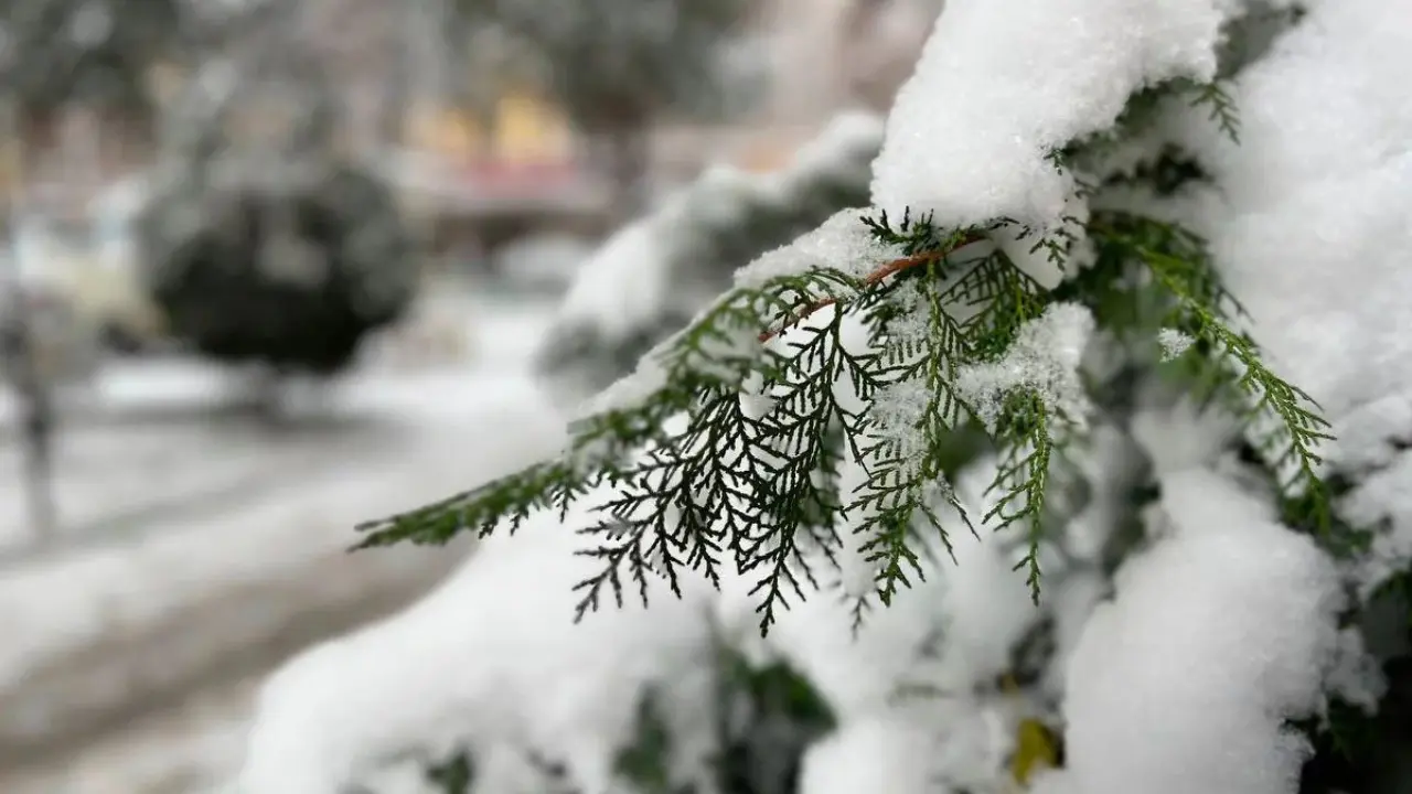 O‘zbekistonga qish qaytmoqda: yaqin kunlarda qor yog‘ishi mumkin