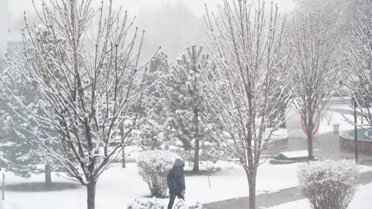 Bugun qanday ob-havo bo‘lishi kutilmoqda?