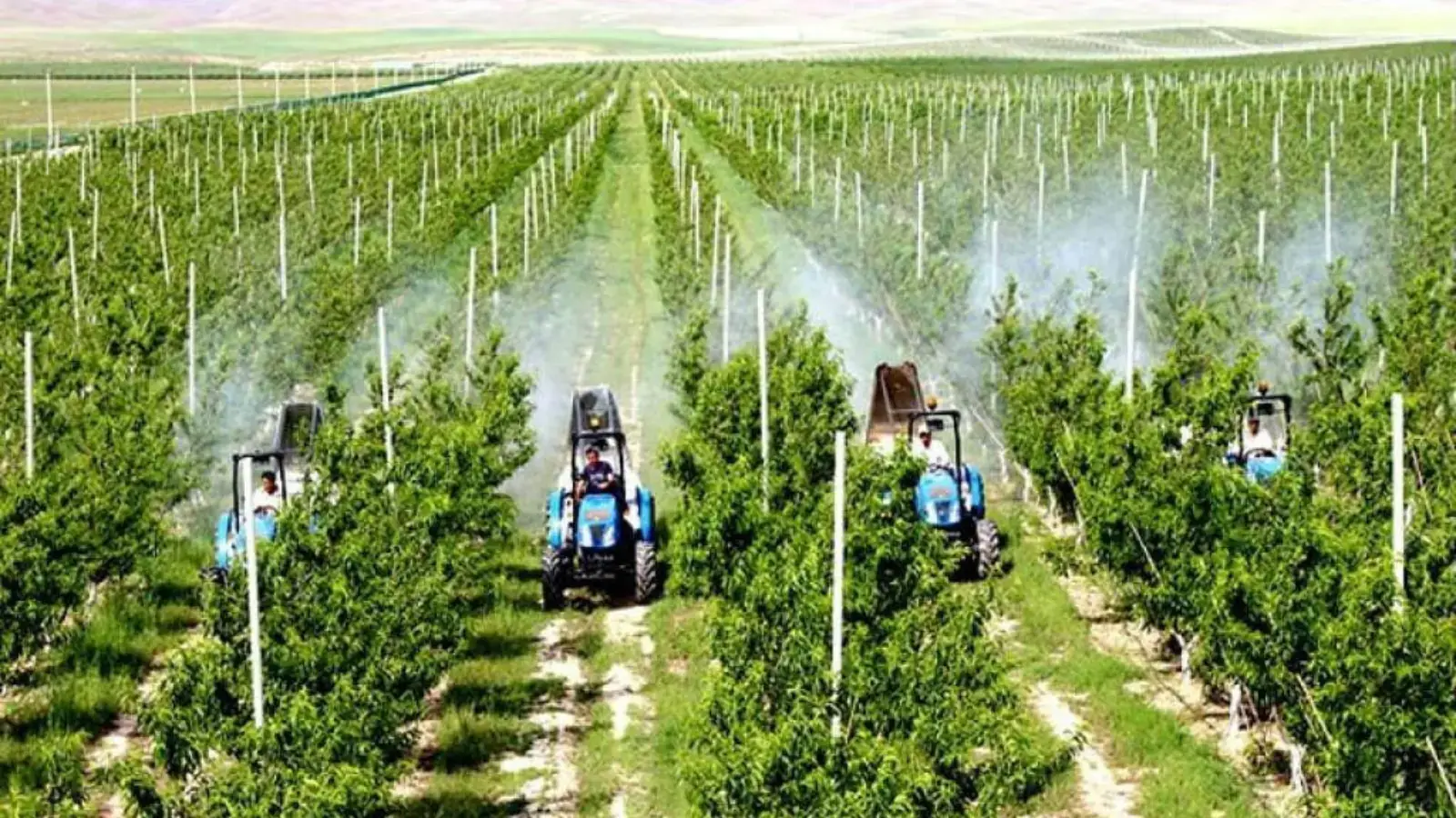 Xalqaro standartlarni joriy etgan agrar korxonalar 3,8 mlrd soʻm davlat ko'magini oldi