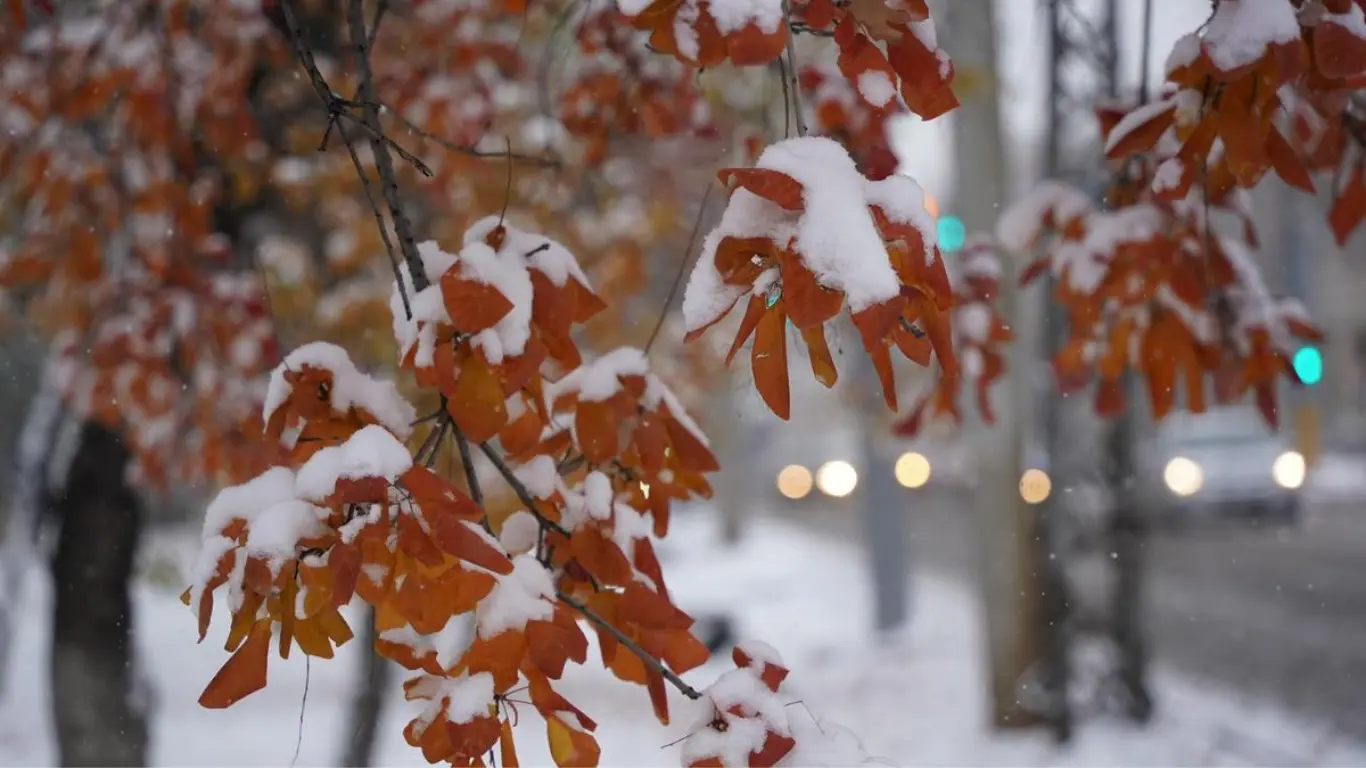 Ўзгидромет: Феврал ойида Ўзбекистонни қандай об-ҳаво кутиб турибди?