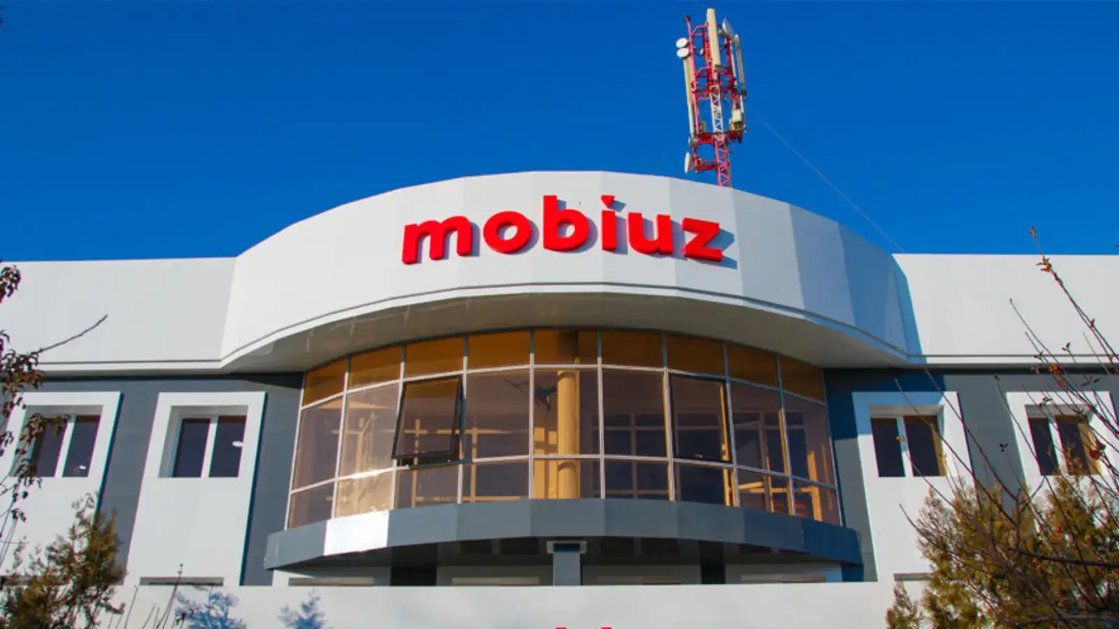 Mobiuz хусусийлаштирилиши: якуний учталикка қўшимча муддат берилди